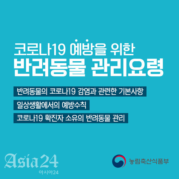 코로나19 반려동물 위탁보호 돌봄서비스 문의는? 